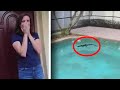 Woman Calls Sheriff on Alligator Swimming in Her Pool