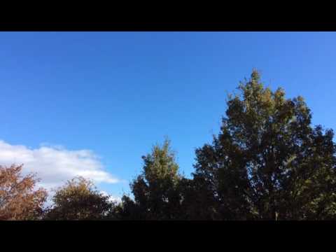 Blauer Himmel/Blue sky 🔹(1)