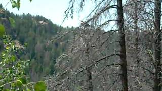 DSCN0346.AVI