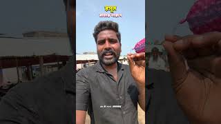 May 18, 2026 বার্ণিয়া মার্কেট । রসুন । Garlic । Garlic Business Idea । Garlic Rate । রসুন দাম ।