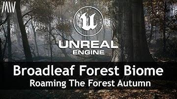 MAWI Broadleaf Forest | Unreal Engine 5 | Roaming The Forest Autumn #unrealengine #UE5 #gamedev