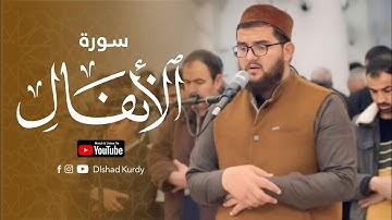 تلاوة جميلة من سورة الانفال / القارئ دلشاد احمد الكردي