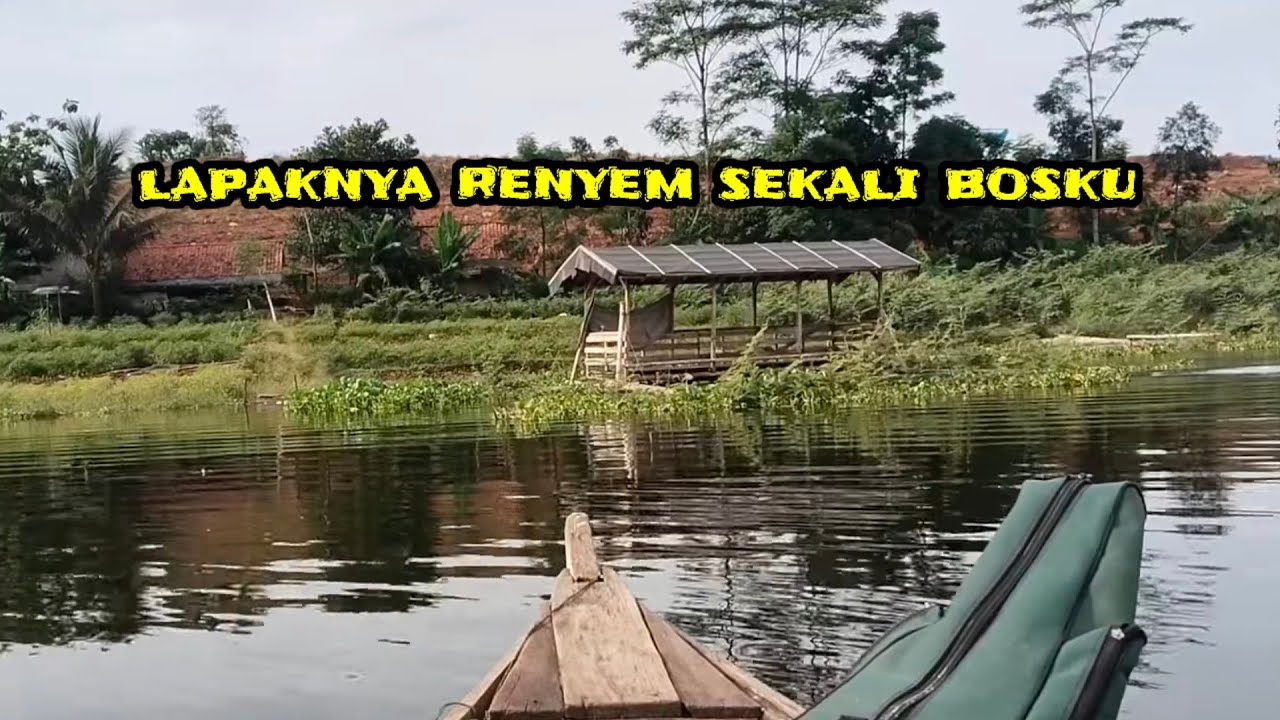 Sentuhan di lapak ini renyem sekali bosku II mancing Cirata terbaru 2025