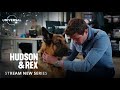 Hudson  rex  new season may 30  universal tv on universal