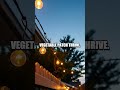 Sunlit Reset A Quiet Home Garden Makeover