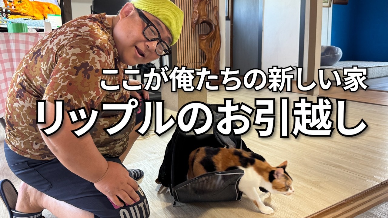【警戒していた愛猫が馴染むまで】家賃1万円、リップルと始まる新生活