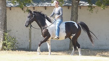 BW***For info, price, etc., go to our website*** Valley View Ranch