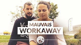 [➕BONUS➕] POURQUOI NOTRE WORKAWAY S'EST MAL PASSÉ 😔