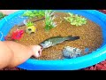 DIY HOMEMADE POOL FISH POND Aquarium!