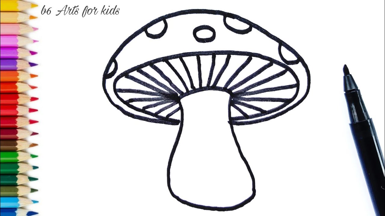 Drawing tutorial. How to draw mushrooms. Education and activity page for  preschool and school children. Kids worksheet. Step by step art lessons  with white mushroom. Vector illustration. 27929888 Vector Art at Vecteezy