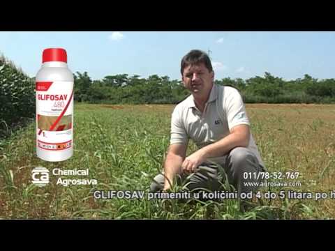 Video: Suzbijanje korova pasiflore - Kako upravljati biljkom pasiflore Maypop