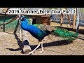 Summer Farm Tour 2019 Part 1