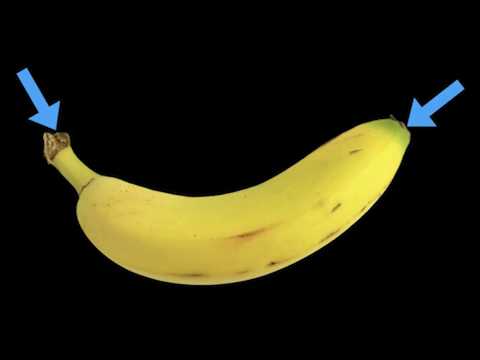 How to eat a banana