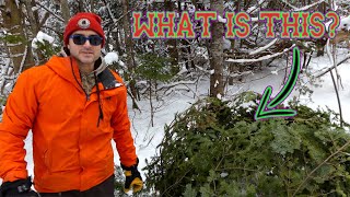 Celebrity LEARN how to set up a RABBIT SNARING PEN - Outdoors With Dave & Brent Profile