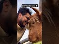 #cow #cricket #cowvideos like and subscribe and comment