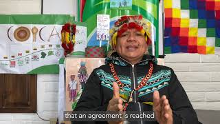 Indigenous Insights - Stewarding the Earth: Protecting 80% of the Amazon by 2025 (80 x 25) (Short)