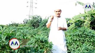 KEUTAMAAN BERCOCOK TANAM