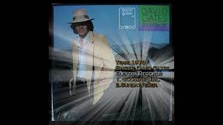 1978 Elektra Records 45 RPM David Gates Sunday Rider Goodbye Girl screenshot 4