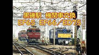 黒磯駅 貨物列車機関車交換(EF65・EF66⇔ED75)
