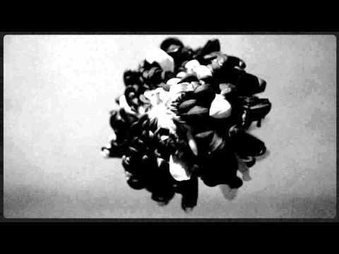 Peter Katz -