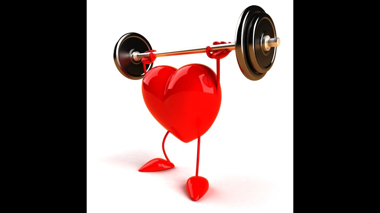 Мартин Миддеке. Как восстановить ресурсы сердца и сосудов