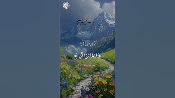 بسم الله الرحمن الرحيم  🌿  تلاوة ماتيسر من سورة  المائدة🕌