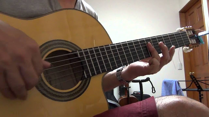 Dolphin Dance Acoustic version - Acoustic performance video thumbnail