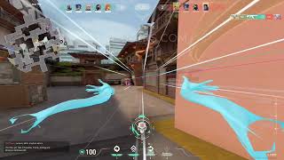 MitamersSoftware Private || Rage Showcase