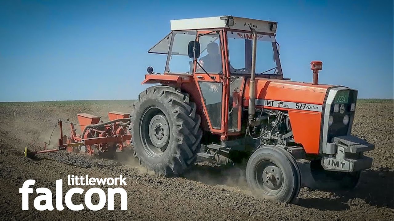 IMT 577 | setva DEKALB kukuruza | IMT 634-800