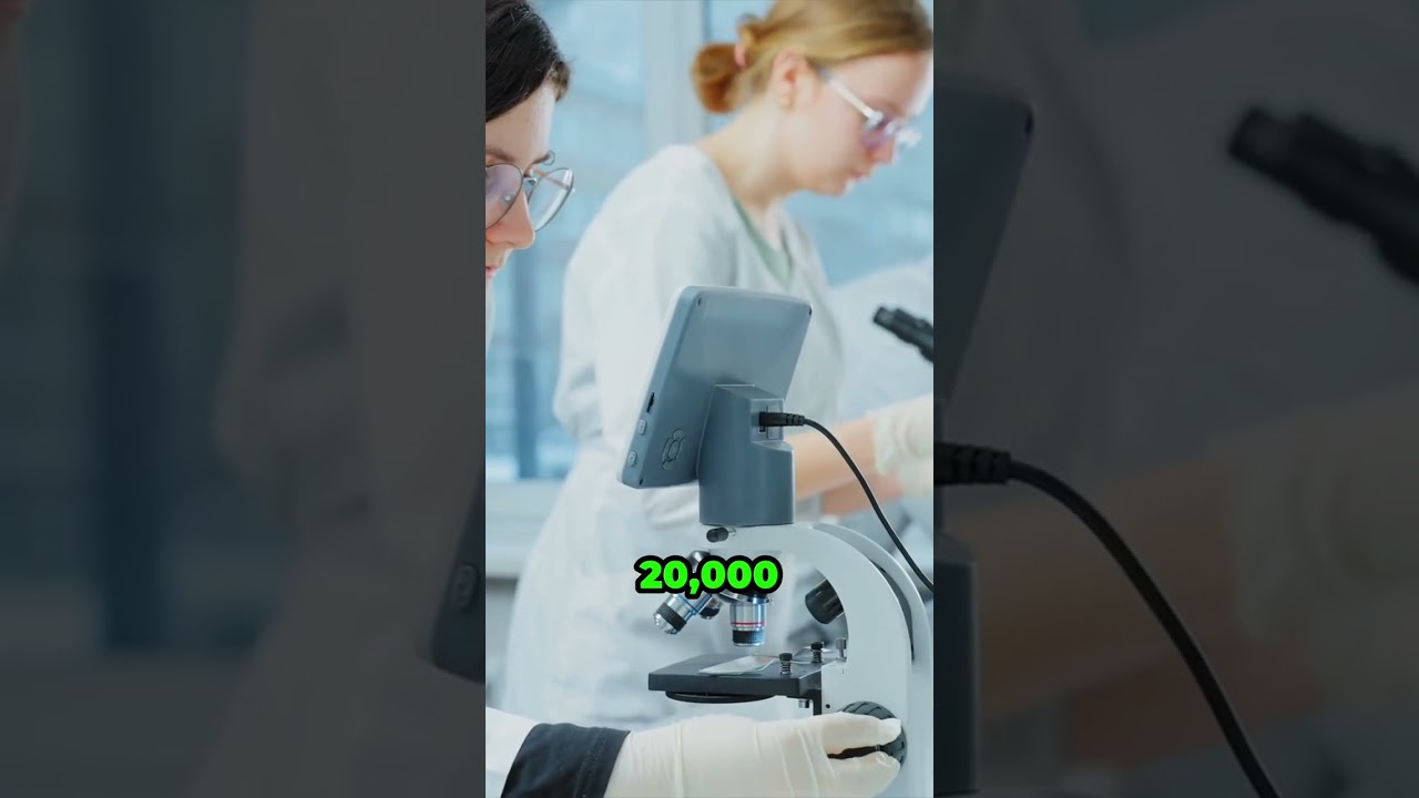 India's EV Game Changer: Subsidies Move to the MANUFACTURERS! 🤯 See Who's Getting the Billions!