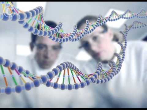 Genetic algorithms create music