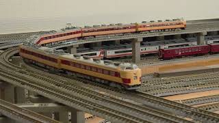 JR東北本線懐かしの719系8両編成、さよなら485系1000番台リバイバル