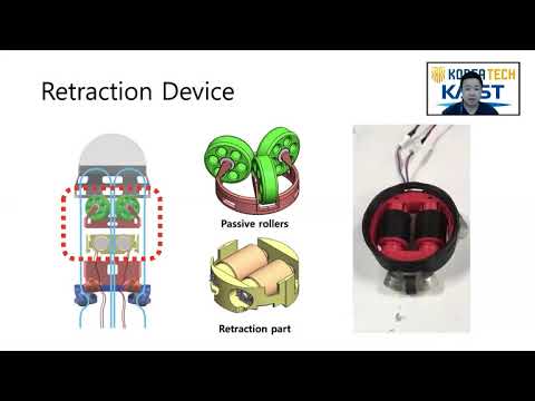 A Tip Mount for Transporting Sensors and Tools using Soft Growing Robots