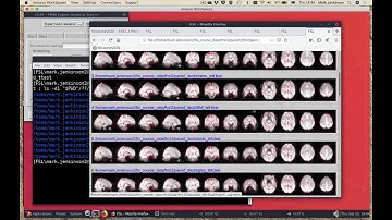 FMRI 2: Pre-Practical Introduction Video