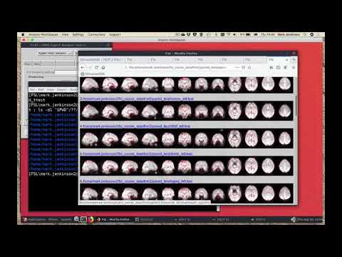 FMRI 2: Pre-Practical Introduction Video