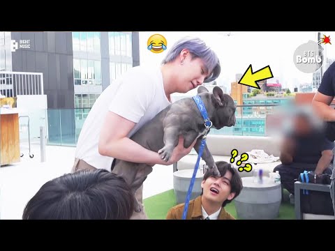 BTS (방탄소년단) with animals - Cute moments