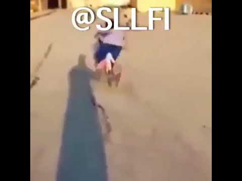 ١٨ يوليو ٢٠١٨ 12