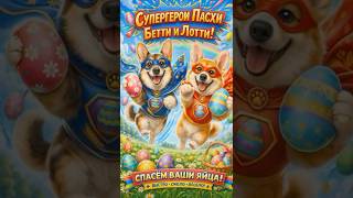 С Праздником!😁 Happy Holidays! #corgi #corgifun #корги