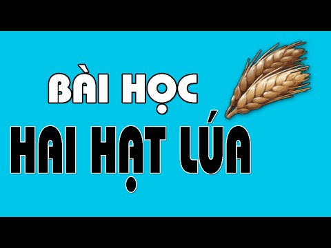 Video Bài Học Về Hai Hạt Lúa - KAPA Channel - youtube