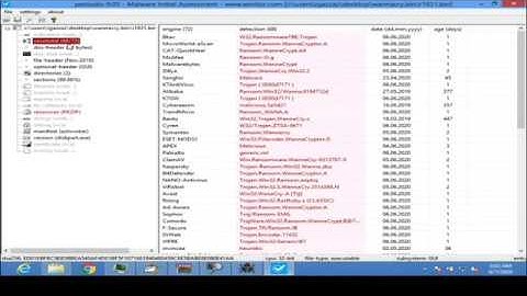 Wannacry Ransomware Analysis and Dissection