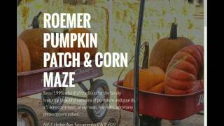 Google My Business Success Story Roemer Pumpkin Patch