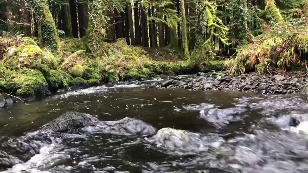 RIVER SOUNDS OVER 5 HOURS OF NATURAL COMFORTING SOUNDS FOR SLEEP, STUDY, FOCUS