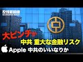 💥【役情最前線】💥習近平の「共同富裕」中国の固定資産税到来か💥Appleも中共のいいなりに?💥バイデン氏の「沈黙は共犯」とは💥中国人権活動家が人民代表選挙に参加表明💥国境警備隊員に睡眠薬で一家脱北成功