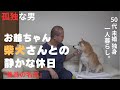【50代 独身】孤独おじさんと柴犬さんとの淡々とした静かな休日【未婚 一人暮らし】