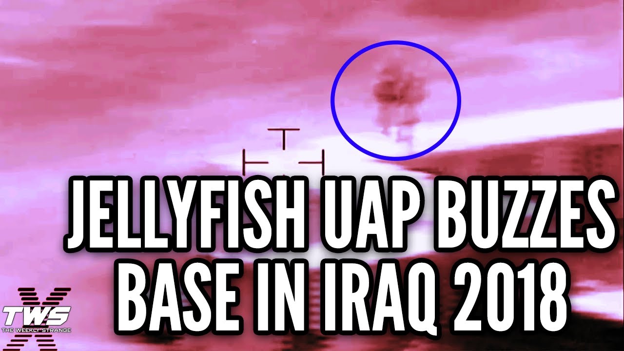 НЛО в виде медуз: рост числа наблюдений и видеозаписи с базы в Ираке 2018 года. THE WEEKLY STRANG...