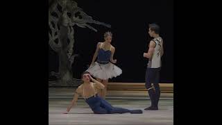 Tchaikovsky. Ratmansky. Bavarian #Ballet