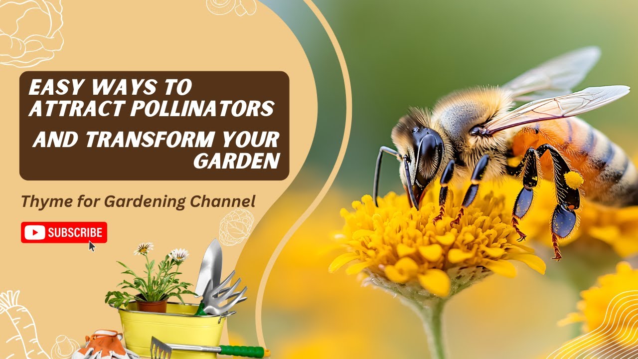 Easy Ways to Attract Pollinators and Transform Your Garden - YouTube
