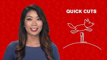 View in 2: Quick Cuts with Video | YouTube Advertisers