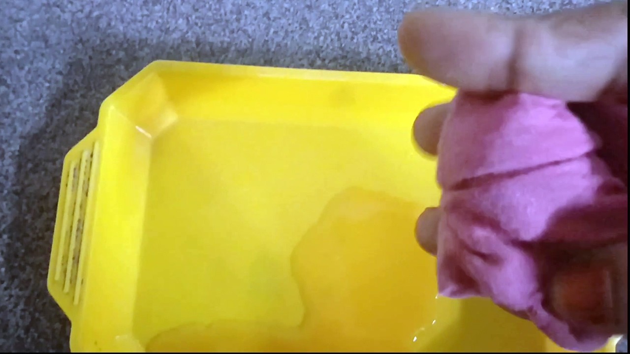 പല്ലി വീട്ടിൽ ഉണ്ടോ. ഇത് ചെയ്താൽ പല്ലിയെ വീട്ടിൽ നിന്നും ഓടിക്കാം