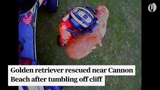 Coast Guard rescues golden retriever near Cannon Beach after he falls from nearly 300-foot cliff